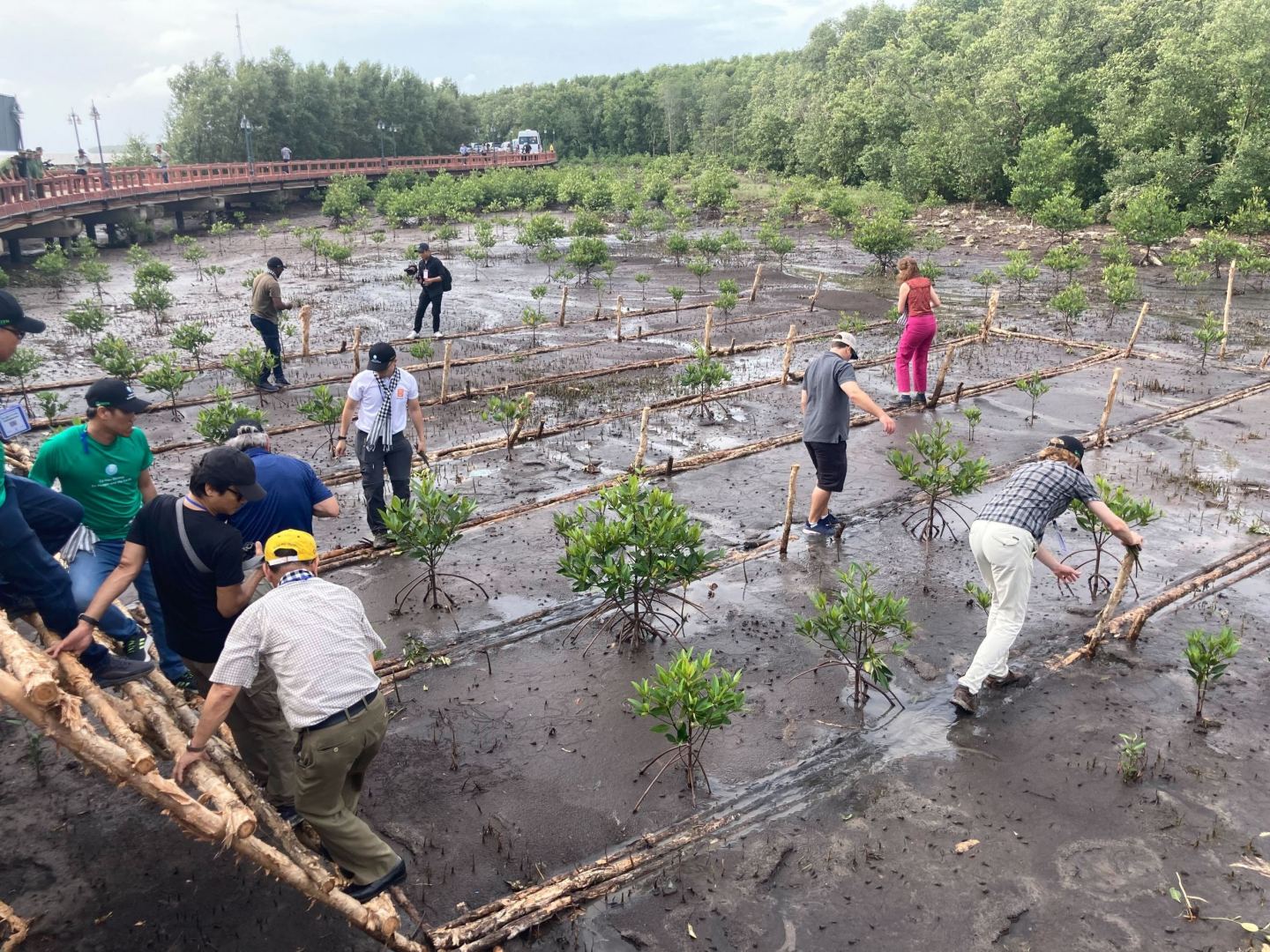 Tour two of Minh Phu's super-intensive and extensive shrimp farms