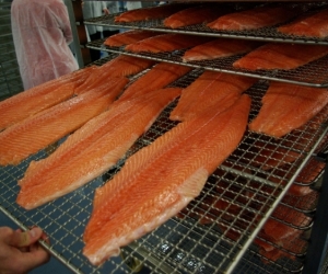 Limito salmon plant opening