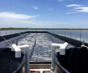 San Bernardo shrimp farm owned by Grupo Granjas Marinas